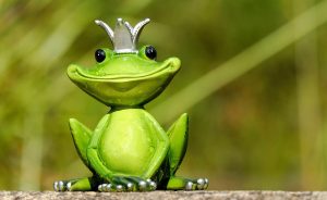 Genuine Best Satta King Tips: Pro Tips to Win in India (2026)