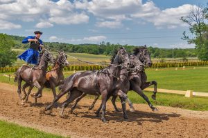 Best Horse Racing Apps Tutorial 2026: Step-by-Step Guide for India (2027)